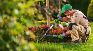Lawn Care and Gardening Services