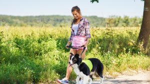 Pet Sitting or Dog Walking