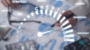 What is a Business Line of Credit