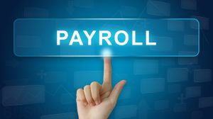 What is Payroll Software