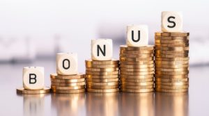 What is the DWP Christmas Bonus